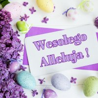 Świąteczne życzenia od Nova2 – Solarium & Światłoterapia w Warszawie