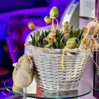 Słoneczna Wielkanoc w Nova 2 | Wołoska 70, Mokotów